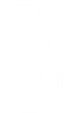 Segway miniLITE Series