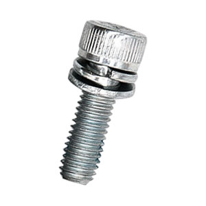 Винт с шестирганной головкой M5*16 (2pcs рулевого управления)  для Ninebot MiniLITE (10.01.3083.00)