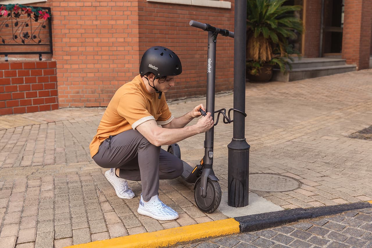 Фотографии Ninebot KickScooter E25