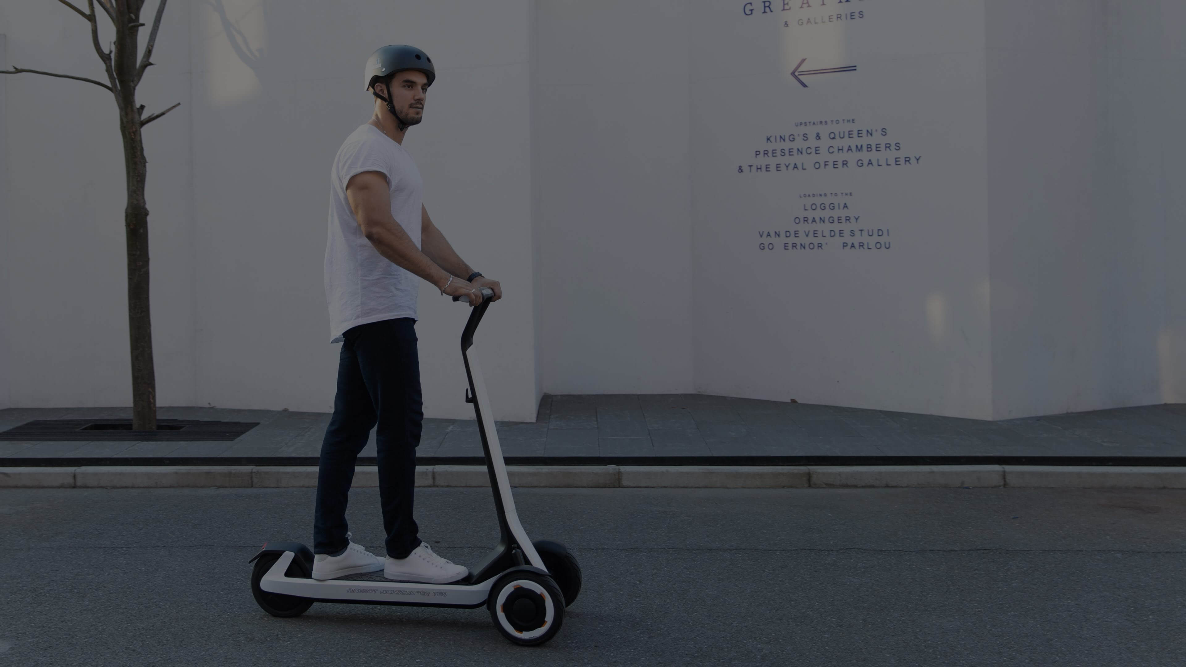 Купить электросамокат Ninebot KickScooter T60