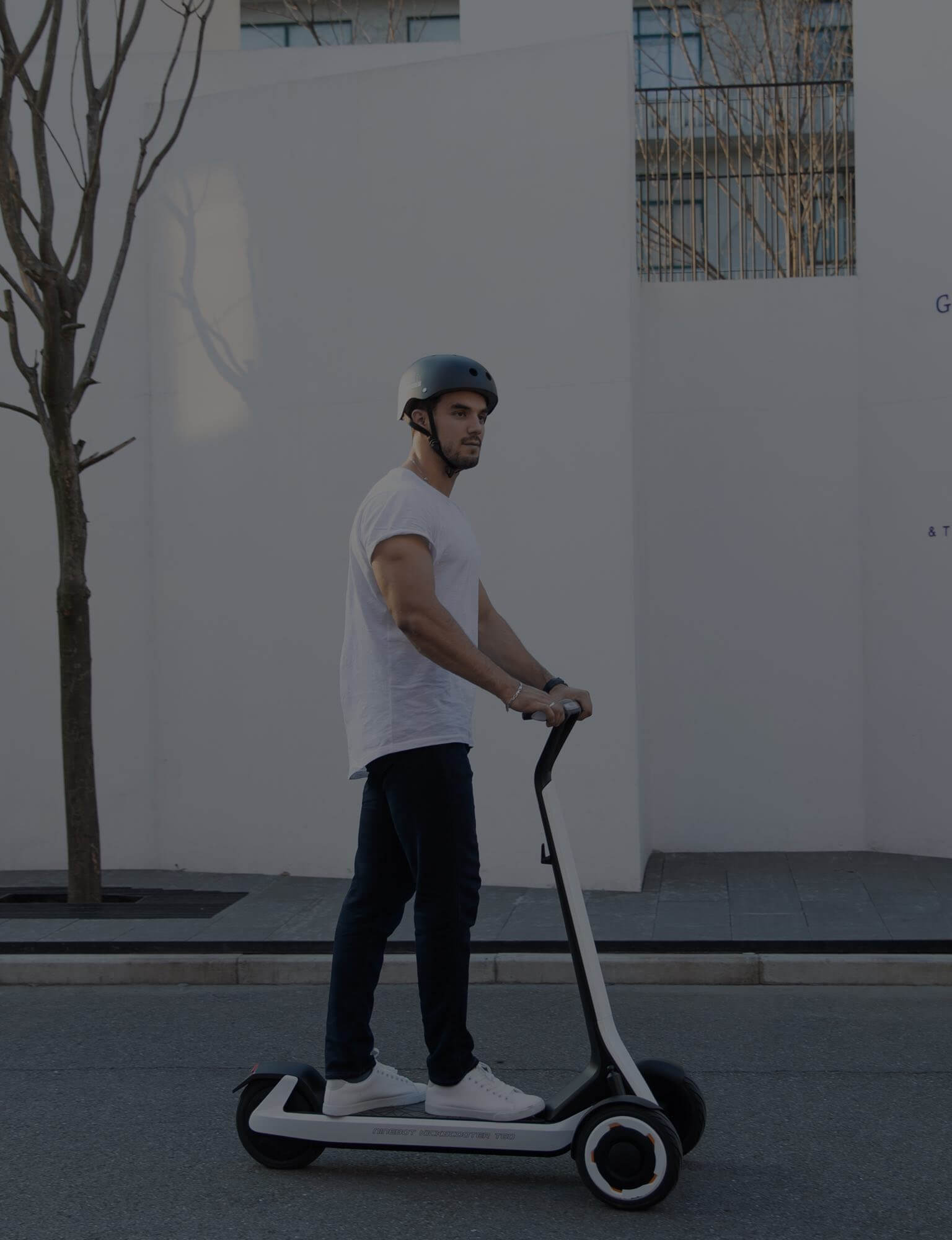 Купить электросамокат Ninebot KickScooter T60