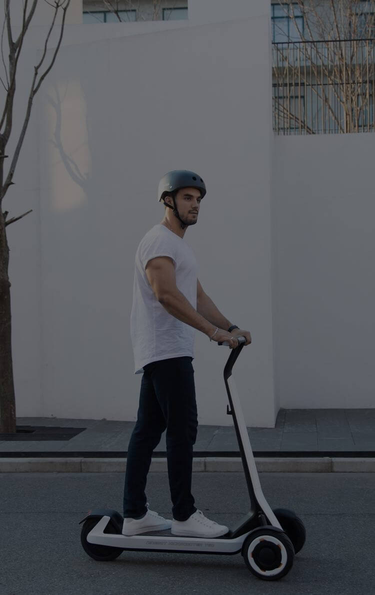 Купить электросамокат Ninebot KickScooter T60