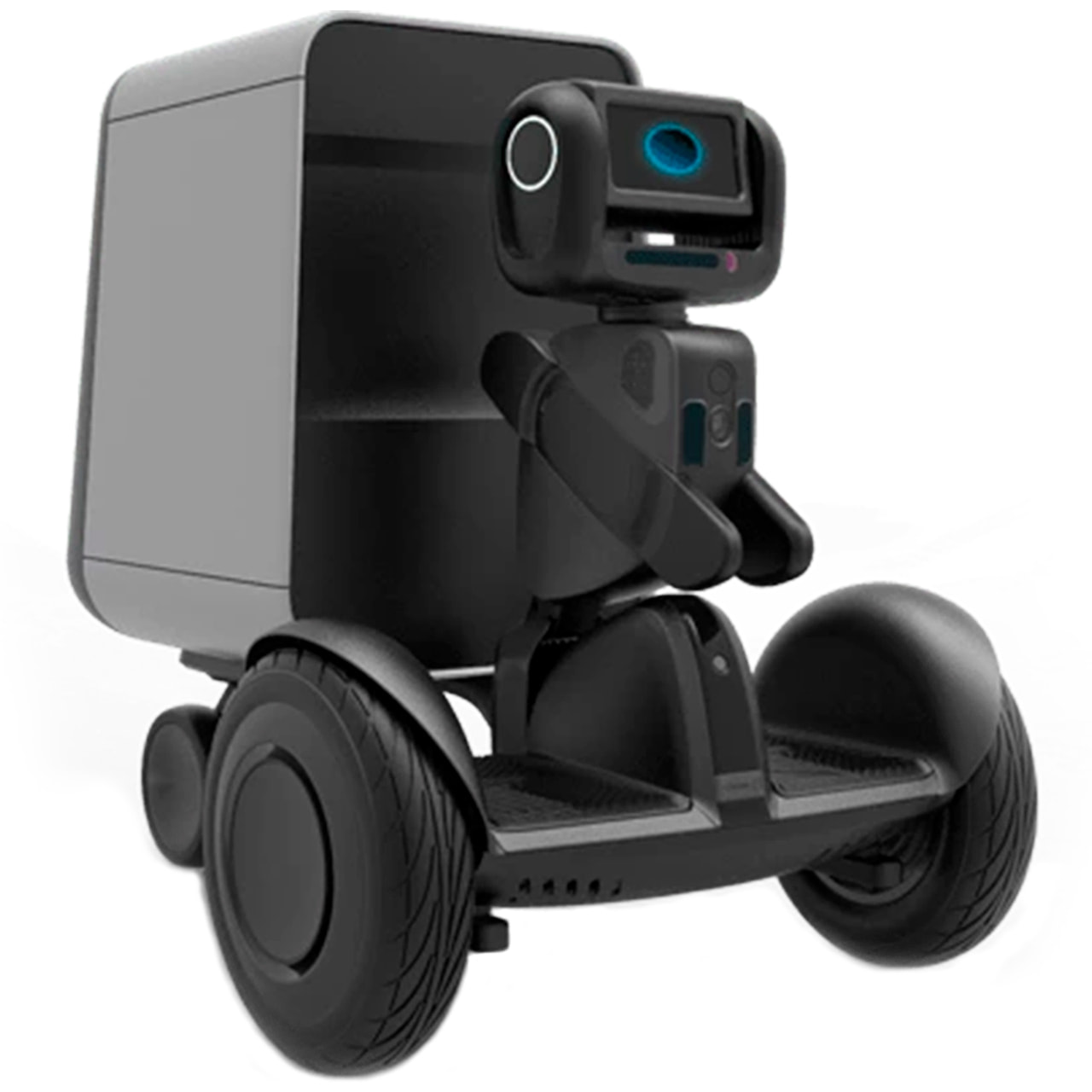 Segway Ninebot Robotics Loomo Go