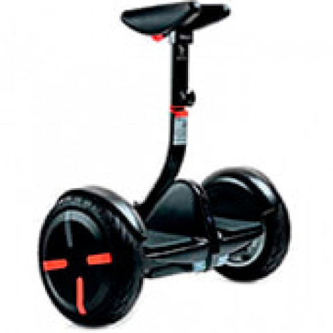 Ninebot S-PRO